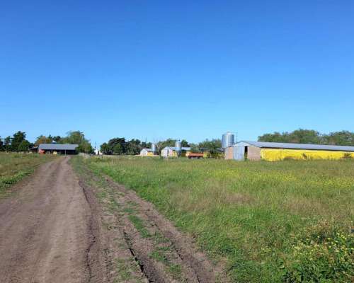 CERRITO - ENTRE RIOS